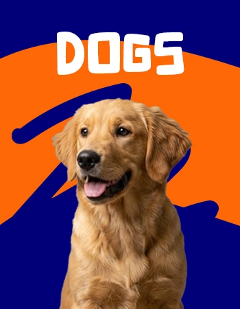 dogs