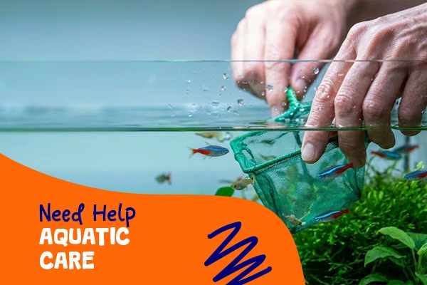 need help aquatic care